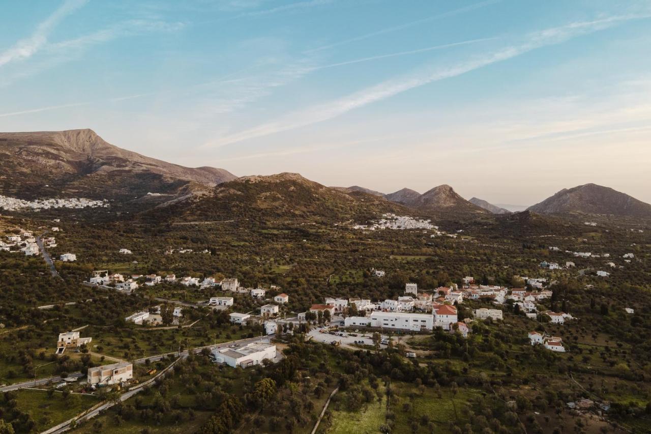 Chalki Apartments - Naxos Khalkíon Exterior foto